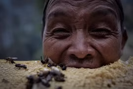 Cận cảnh nghề săn mật ong rừng ở Nepal