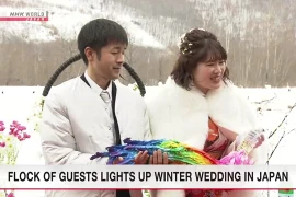 Lạ lùng cảnh tổ chức lễ cưới với sự chứng kiến của sếu đầu đỏ 