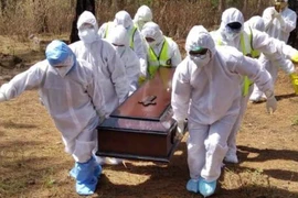 Thi thể bệnh nhân Covid-19 tại Ấn Độ bị chuột gặm