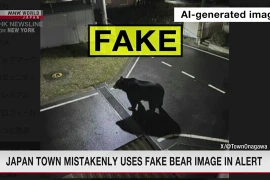 Dùng hình ảnh tạo bởi AI khi cảnh báo về gấu, một thị trấn phải xin lỗi