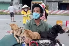 [Tin nhanh sáng 12-10-2021] Cà Mau: Trưởng trạm y tế và con ruột xin nghỉ việc sau vụ tiêu hủy chó