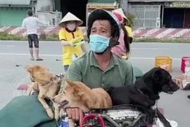 [Tin nhanh sáng 12-10-2021] Cà Mau: Trưởng trạm y tế và con ruột xin nghỉ việc sau vụ tiêu hủy chó