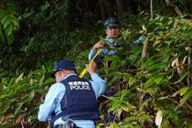 Số nạn nhân tử vong do bị gấu tấn công cao chưa từng có tại Nhật Bản