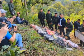 Quân đội Thái Lan đấu súng, tiêu diệt 15 nghi phạm buôn lậu ma túy