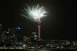 Xem màn trình diễn pháo hoa đón Năm mới tại New Zealand 