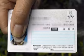 Nhật Bản phát hiện trục trặc trên thẻ định danh My Number