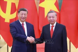 Tổng Bí thư Tô Lâm hội đàm với Tổng Bí thư, Chủ tịch nước Trung Quốc Tập Cận Bình 