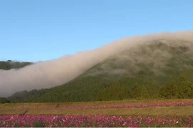 Chiêm ngưỡng dải sương mù kỳ ảo ở vùng núi miền Trung Nhật Bản