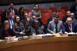 Mỹ phủ quyết dự thảo nghị quyết về ngừng bắn tại Dải Gaza