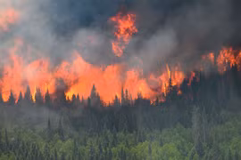 Cháy rừng ở Canada khiến lượng phát thải CO2 tăng cao
