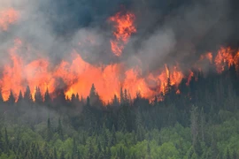 Cháy rừng ở Canada khiến lượng phát thải CO2 tăng cao