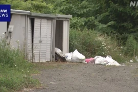 Thị trấn ở Hokkaido cảnh giác cao độ sau vụ gấu tấn công gây chết người