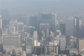 Bụi cát vàng sa mạc Trung Quốc lan tới Nhật Bản, Hàn Quốc