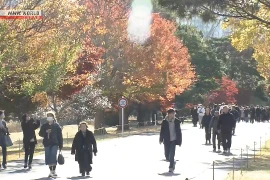 Công chúng thích thú thưởng ngoạn sắc lá thu tại Hoàng cung ở Tokyo