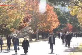 Công chúng thích thú thưởng ngoạn sắc lá thu tại Hoàng cung ở Tokyo