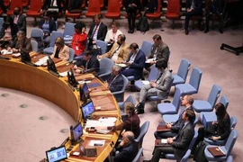 Hội đồng Bảo an Liên Hợp Quốc lần đầu ra tuyên bố về Ukraine