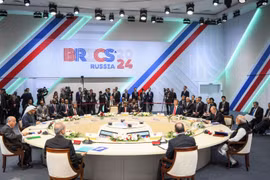 Việt Nam sẽ nghiên cứu các thông tin về cơ chế của BRICS