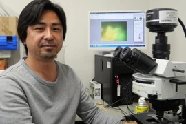 Có thể đã phát hiện vi khuẩn sống trong tầng địa chất 2 tỷ năm tuổi 