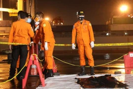 Vụ máy bay SJ182 rơi xuống biển: Toàn bộ hành khách là công dân Indonesia 