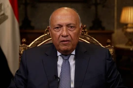Ngoại trưởng Ai Cập: Đề xuất di dời hàng triệu người Palestine đến Sinai là ‘lố bịch’