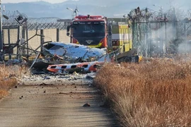 Thông tin mới vụ máy bay chở 181 người lao khỏi đường băng tại Hàn Quốc 