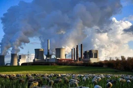 Cơ quan Năng lượng Quốc tế đánh giá nhu cầu nhiên liệu hóa thạch 