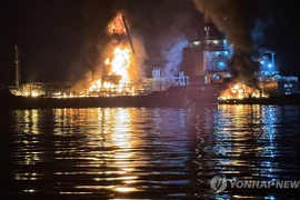 Một thuyền trưởng thiệt mạng trong vụ hai tàu neo đậu cạnh nhau bốc cháy