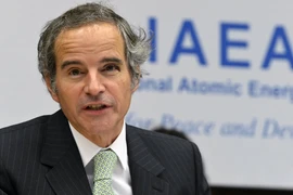 IAEA họp khẩn sau loạt vụ tấn công nhằm vào nhà máy điện hạt nhân Zaporizhzhia 