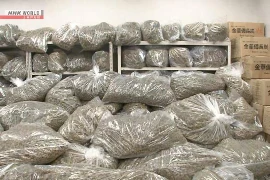 Bộ Ngoại giao thông tin vụ Nhật Bản bắt 3 công dân Việt Nam tàng trữ 1 tấn cần sa khô