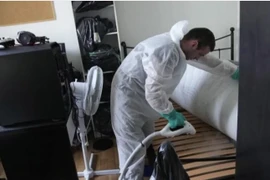 Lo ngại rệp lây lan, Pháp đóng cửa 7 trường học 