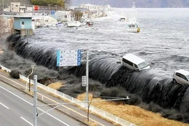 Nhật Bản: Xác minh được di hài bé gái bị sóng thần cuốn đi năm 2011