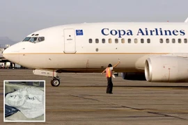 Nhầm bỉm là bom, máy bay chở 144 hành khách phải quay đầu