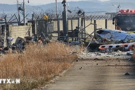 Tai nạn máy bay tại Hàn Quốc: Không có người Việt trong danh sách nạn nhân