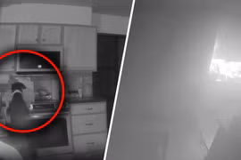 Khoảnh khắc chú chó vô tình bật bếp làm cháy nhà