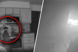 Khoảnh khắc chú chó vô tình bật bếp làm cháy nhà