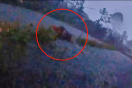 Giải cứu người dân, cảnh sát Mỹ bị hút vào ống thoát nước