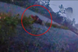 Giải cứu người dân, cảnh sát Mỹ bị hút vào ống thoát nước