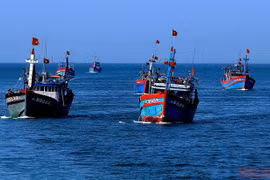 Lệnh cấm đánh bắt cá của Trung Quốc vi phạm chủ quyền Việt Nam