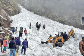 Lở tuyết kinh hoàng tại Ấn Độ, 7 người thiệt mạng