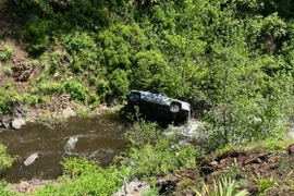 Chú chó chạy suốt quãng đường dài 6,4km tìm người cứu chủ nhân gặp nạn