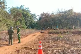 [Tin nhanh sáng 3-2-2021] Nữ công nhân tử vong với vết thương ở ngực trái