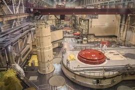 Liên minh châu Âu tăng cường nhập khẩu nhiên liệu hạt nhân của Nga