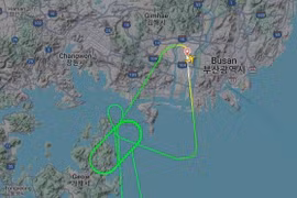 Máy bay Jin Air phải xả nhiên liệu khi hạ cánh khẩn cấp