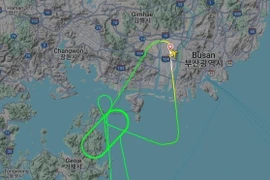 Máy bay Jin Air phải xả nhiên liệu khi hạ cánh khẩn cấp