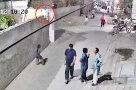 Cảnh sư tử sổng chuồng tấn công người phụ nữ ngay trên đường phố ở Pakistan