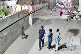 Cảnh sư tử sổng chuồng tấn công người phụ nữ ngay trên đường phố ở Pakistan