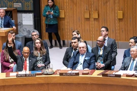 Mỹ bác dự thảo nghị quyết ủng hộ Palestine trở thành thành viên Liên hợp quốc 