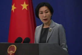 Trung Quốc nói gì về kế hoạch hòa bình của châu Phi cho cuộc xung đột Nga - Ukraine?