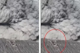 Núi lửa phun trào dữ dội, nhóm nhà leo núi thoát chết trong gang tấc