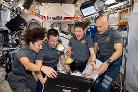 NASA tổ chức cuộc thi công nghệ thực phẩm tiên phong trên sao Hỏa